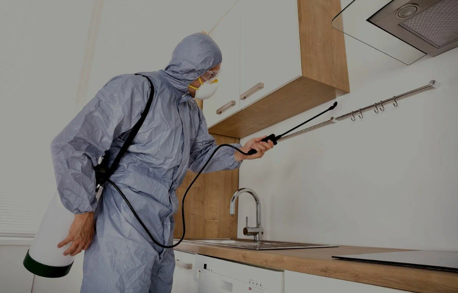 Hacienda Heights pest managment